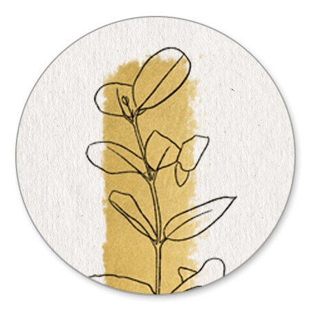 Papier, gouden streep en outline plantje